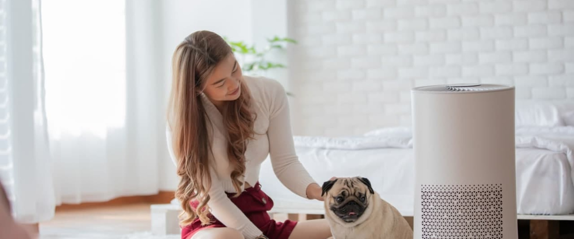 Best Air Purification: American Standard Air Filters vs. HVAC Ionizer Installation – What’s Right for You?