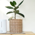Can an Ionizer Cause Breathing Problems? - An Expert's Perspective