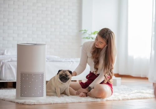 Best Air Purification: American Standard Air Filters vs. HVAC Ionizer Installation – What’s Right for You?